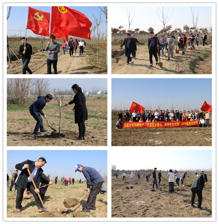 1520991790810589.jpg 444444444.jpg