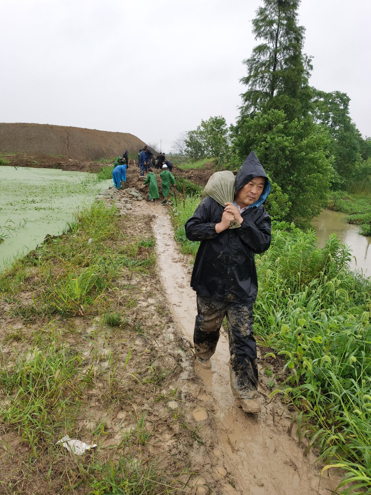 1621926792131272.jpg 15.jpg