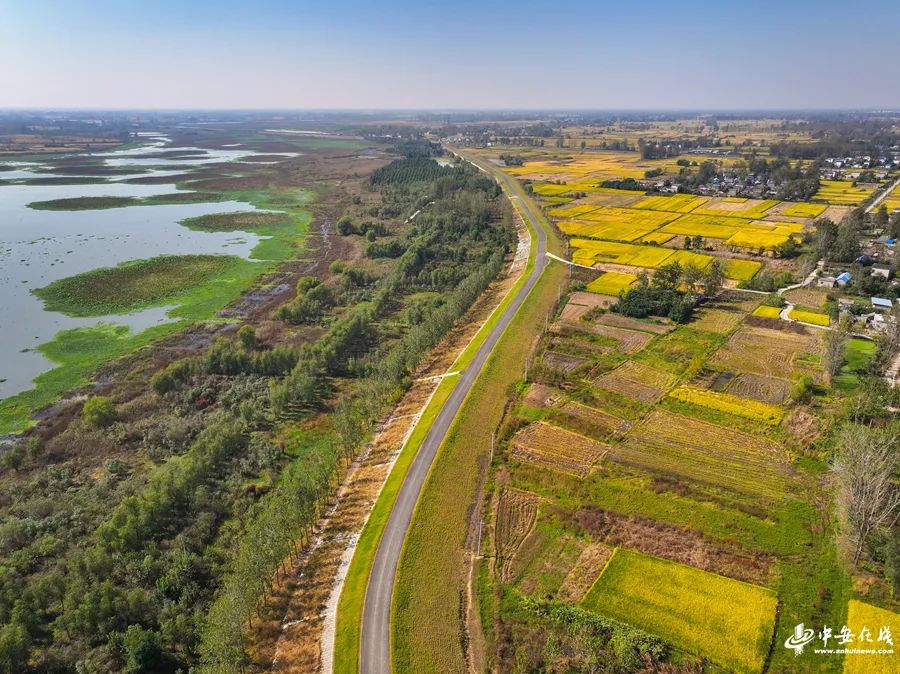 1698396756637267.jpg 中安在線圖一.jpg