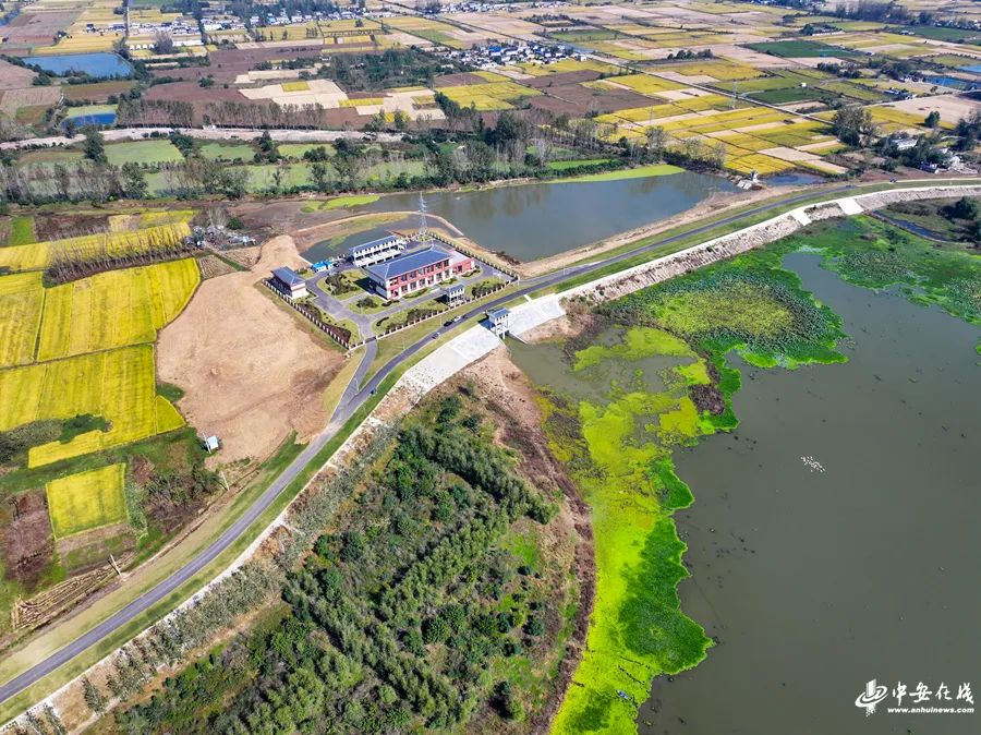 1698396768231142.jpg 中安在線圖二.jpg