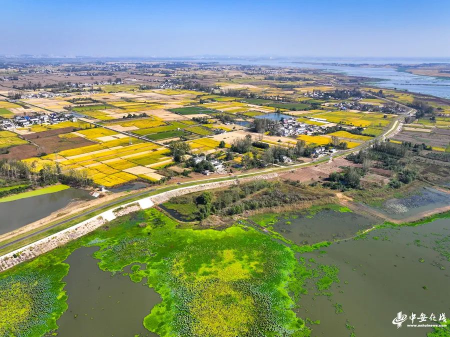 1698396788267286.jpg 中安在線圖四.jpg