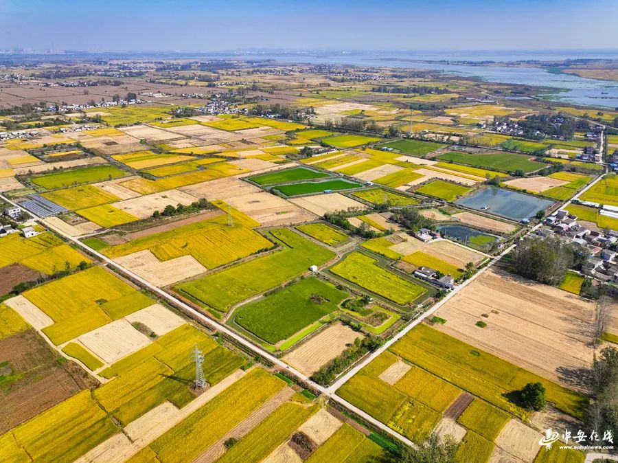 1698396797350892.jpg 中安在線圖五.jpg