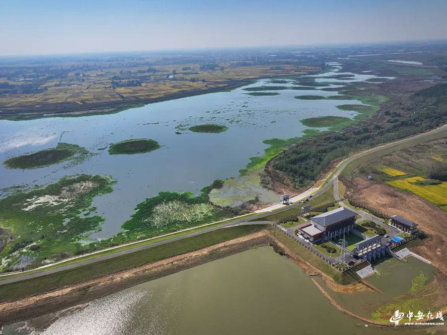 1698396808100393.jpg 中安在線圖六.jpg