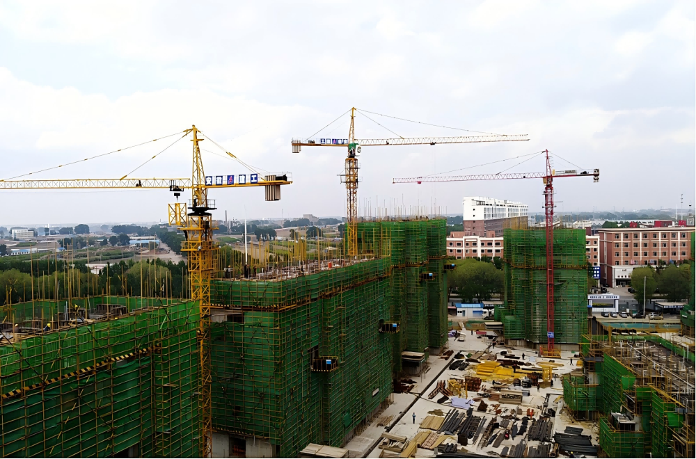 1733357102419076.png 2.png