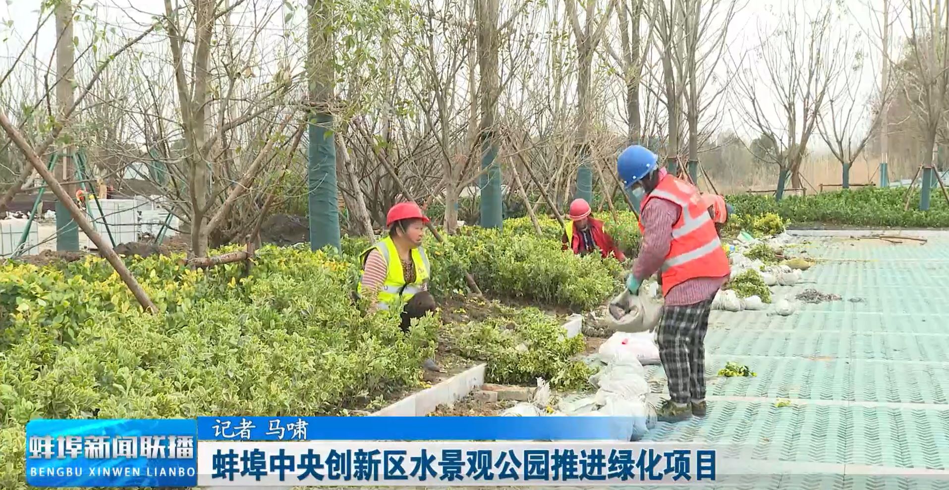 1744247260782059.jpg 中央景觀-蚌埠新聞聯(lián)播-小.jpg