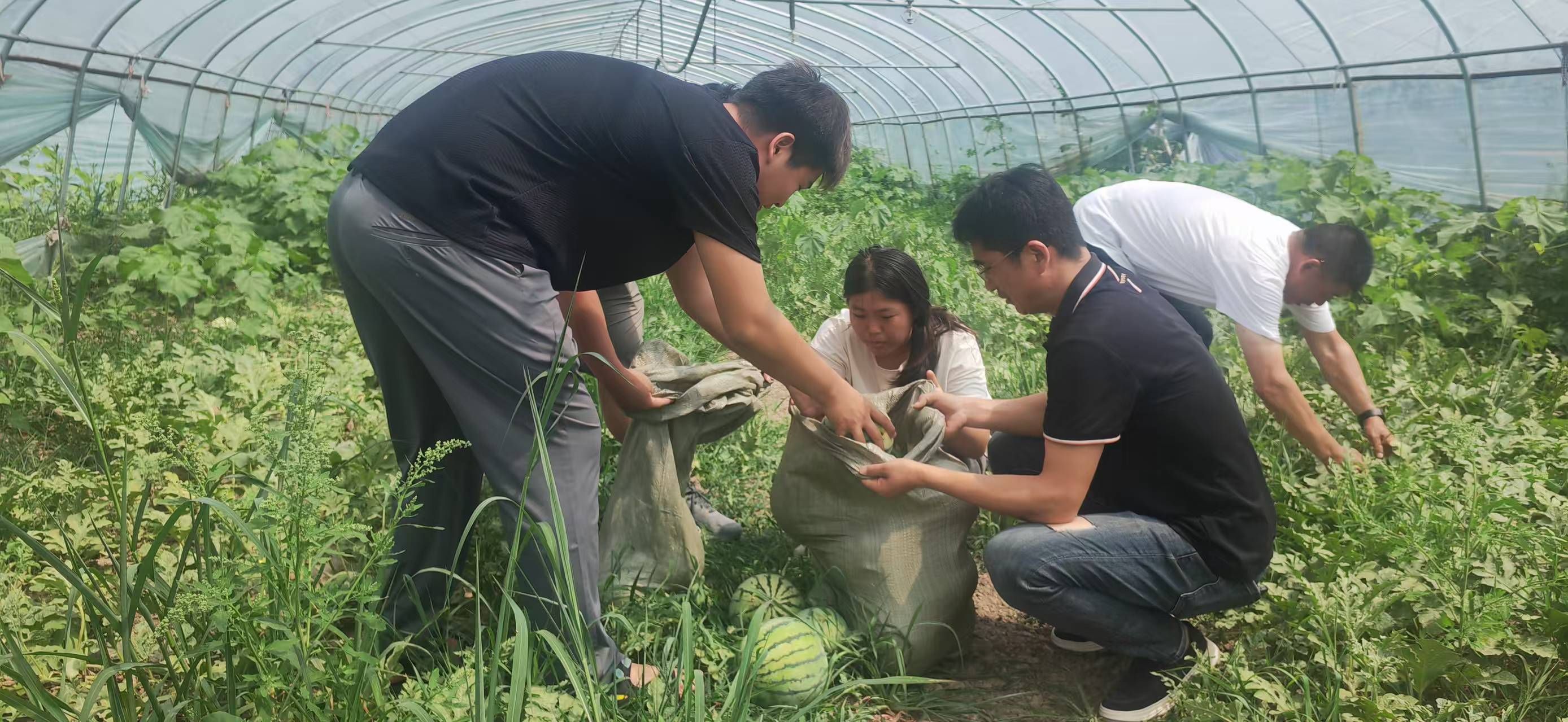 1751267240612729.jpg 11小.jpg