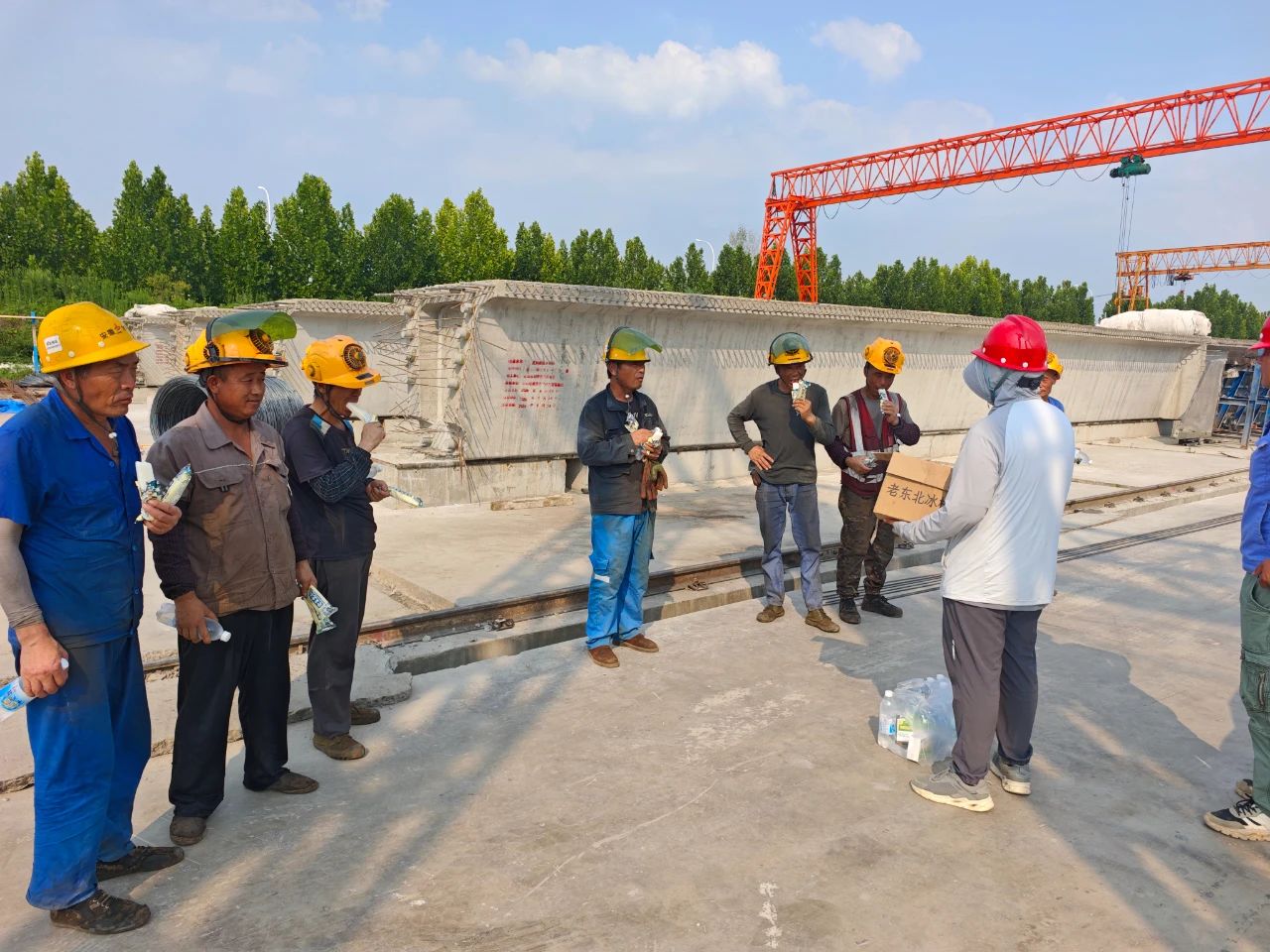 1752024968988095.jpg 33.jpg