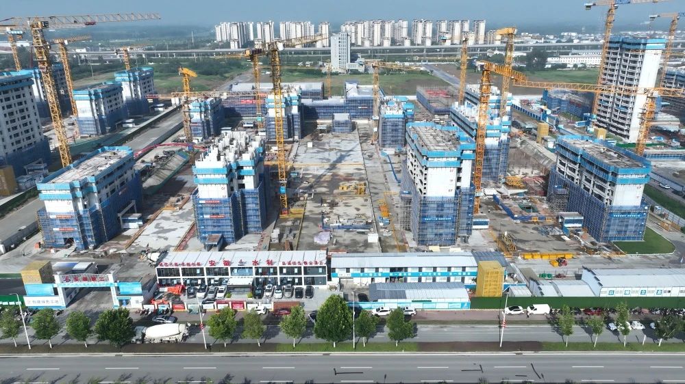 1755483165438795.jpg 4.jpg