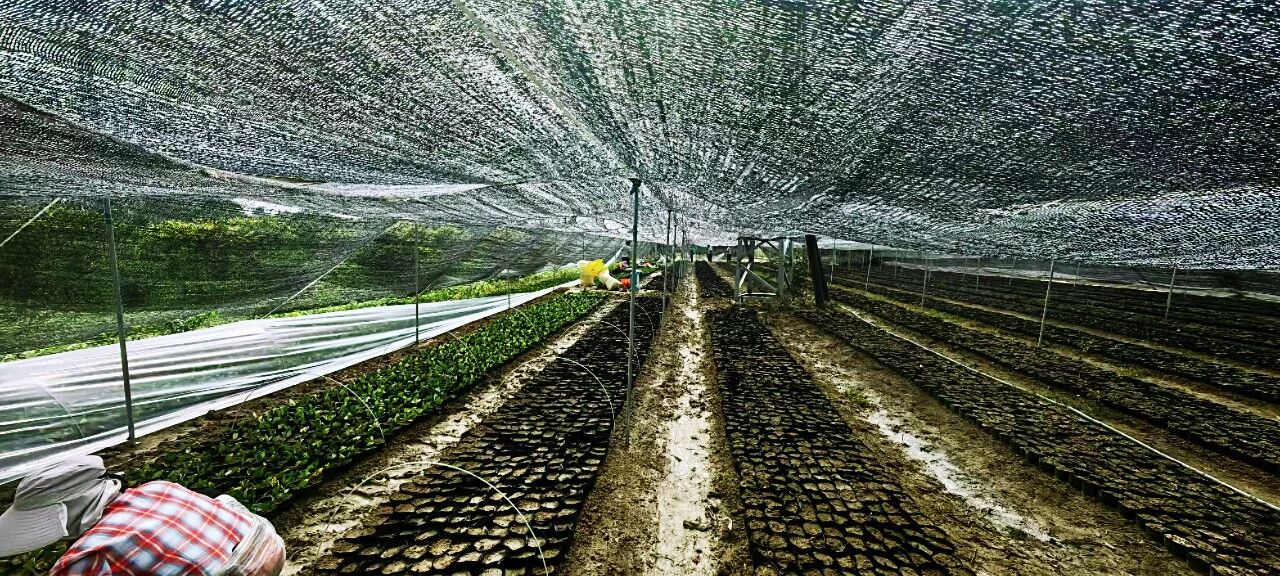 1757474451933445.jpg 7.jpg