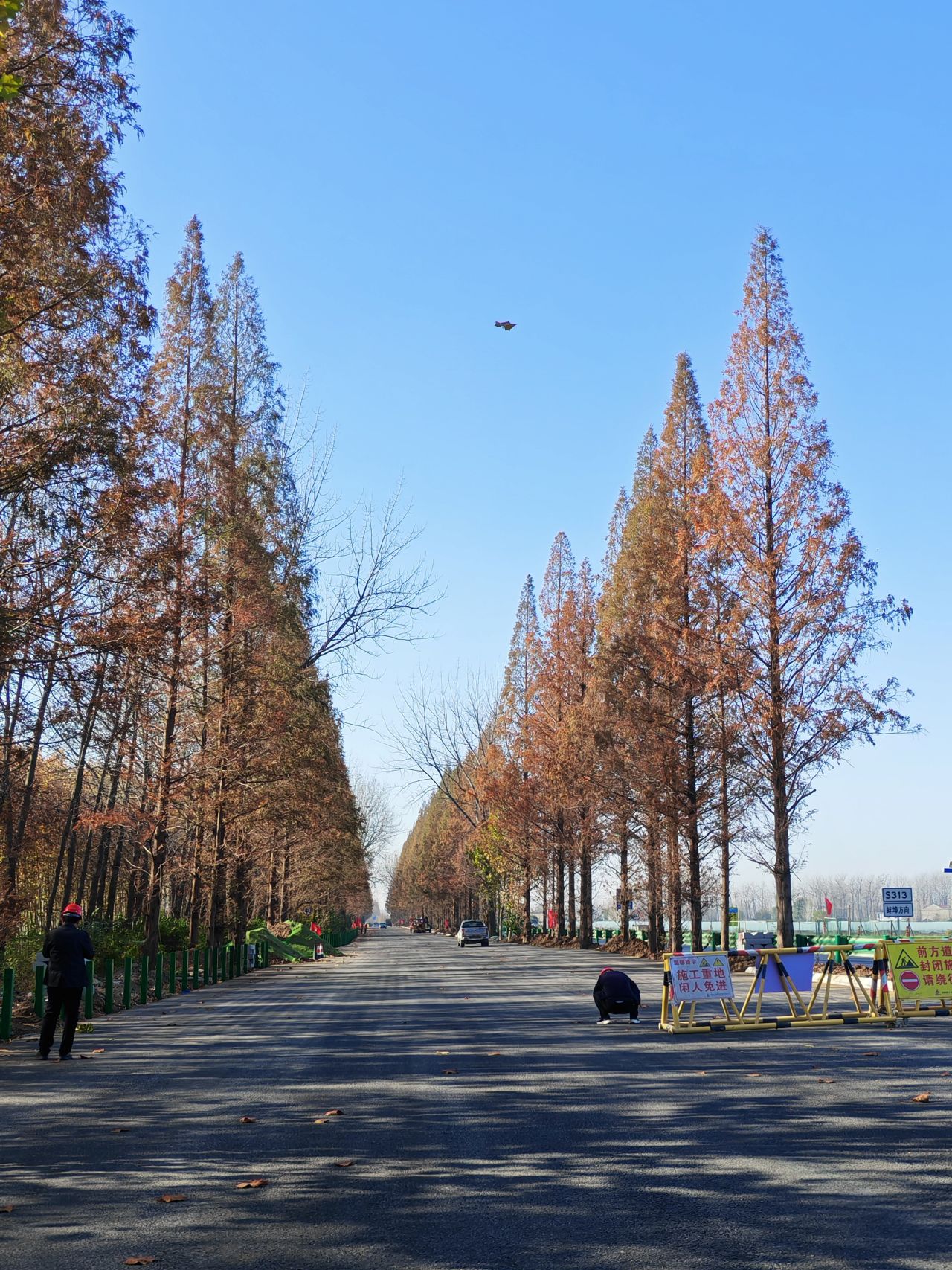 1764203963379325.jpg 1111(11).jpg