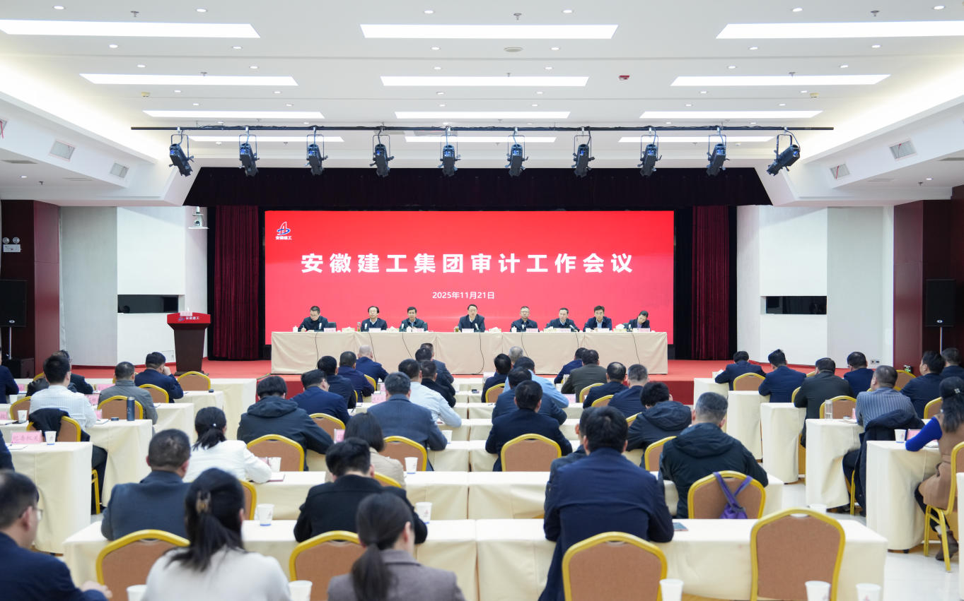 1765930173434018.jpg 審計(jì)工作會(huì)議1.jpg