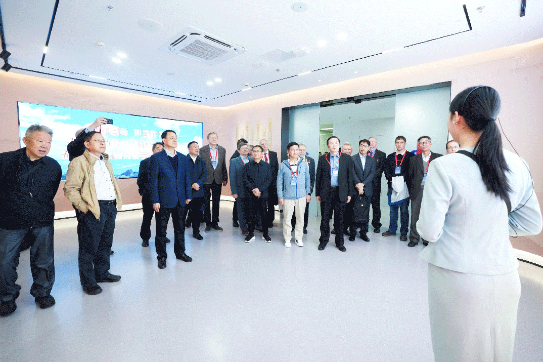 1765930844120381.jpg 234.jpg