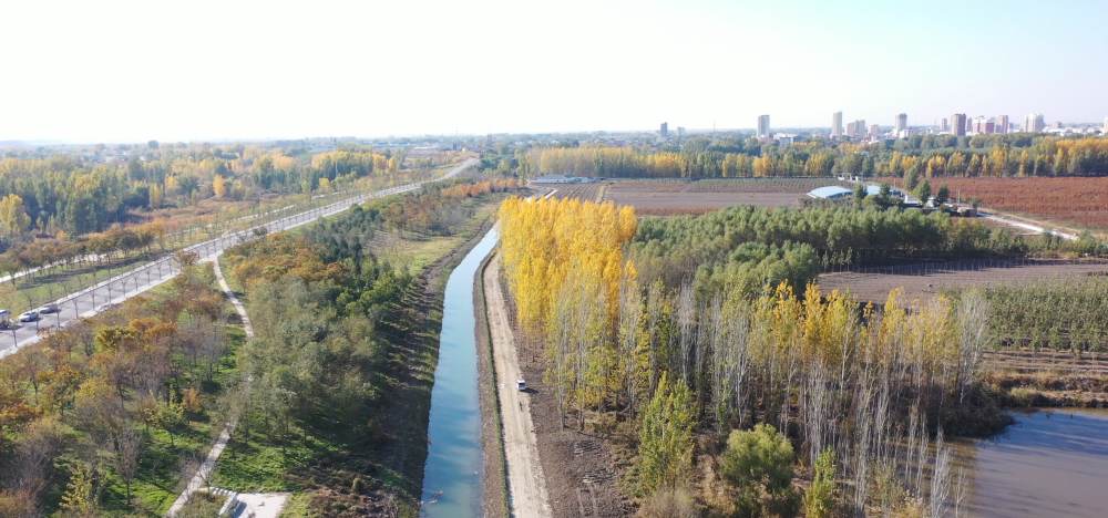 1768785375924752.jpg 北方公司1.jpg