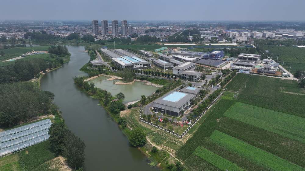 1769572766113156.jpg 1769572766113156.jpg