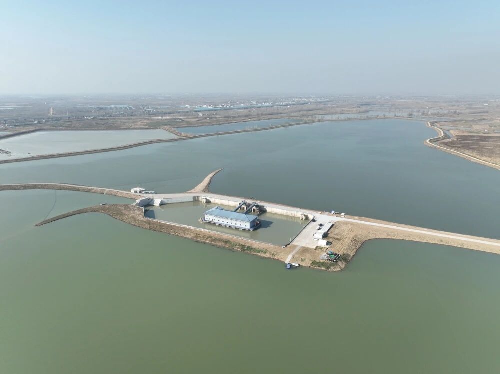 1770946198113651.jpg 1770946198113651.jpg