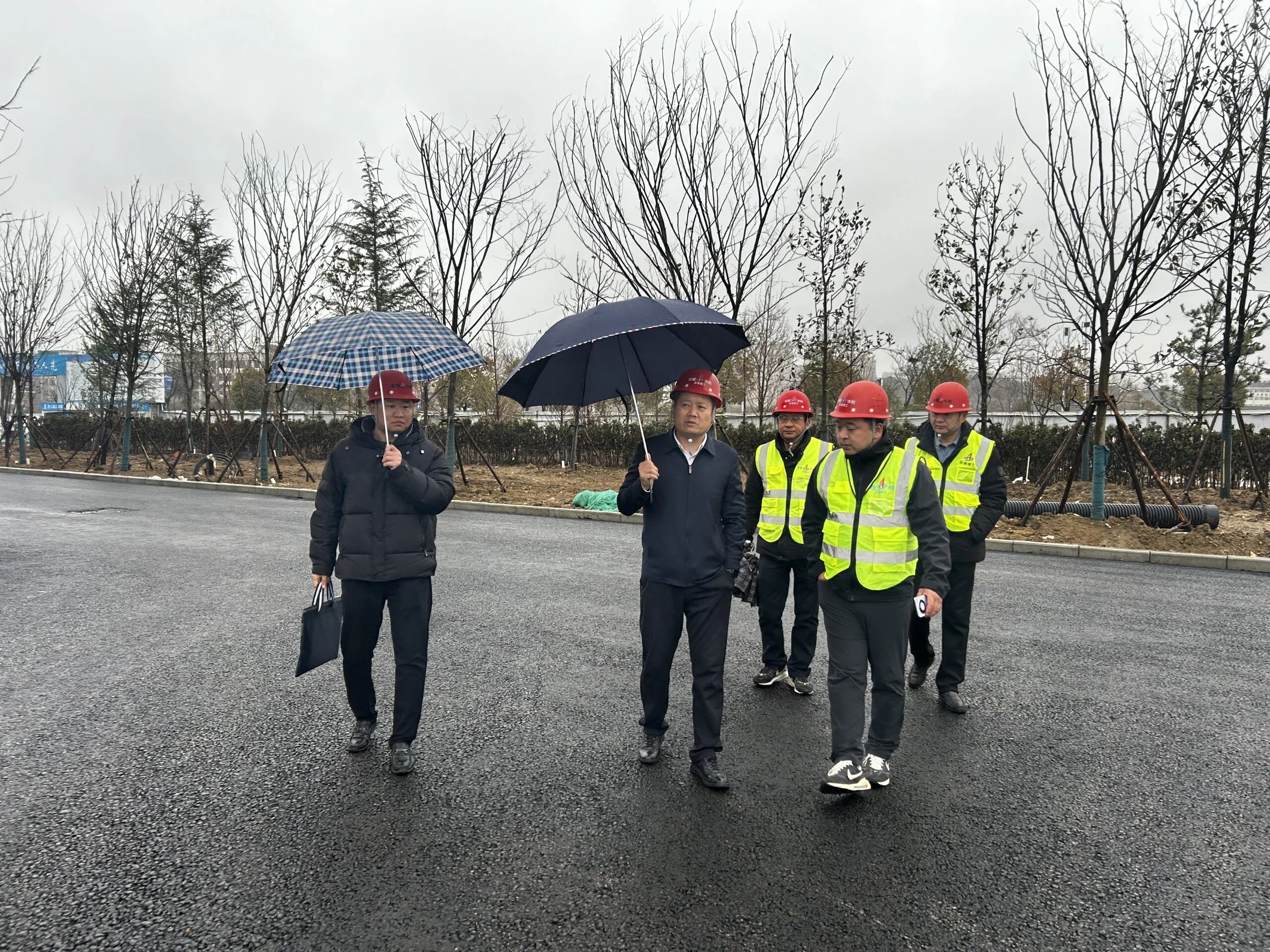 1772154655875266.jpg 1772154655875266.jpg